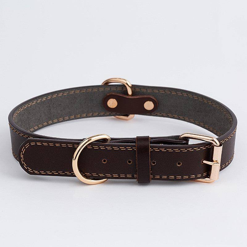Dog Collars
