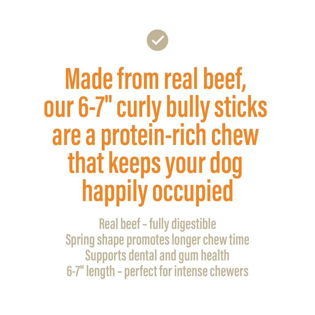 Bully Spring Chews for Dogs – 6-7" (6 Count)-2