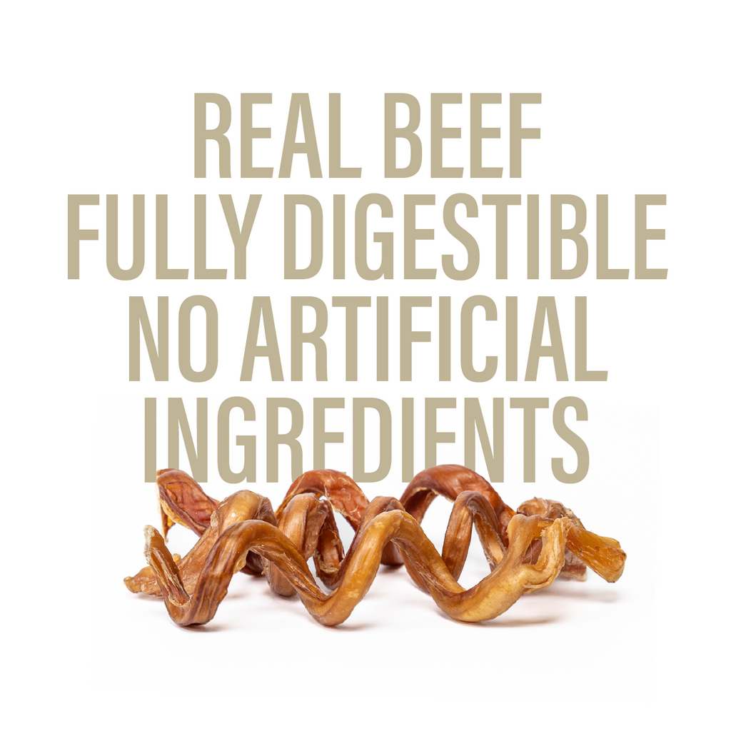 Bully Spring Chews for Dogs – 6-7" (6 Count)-4