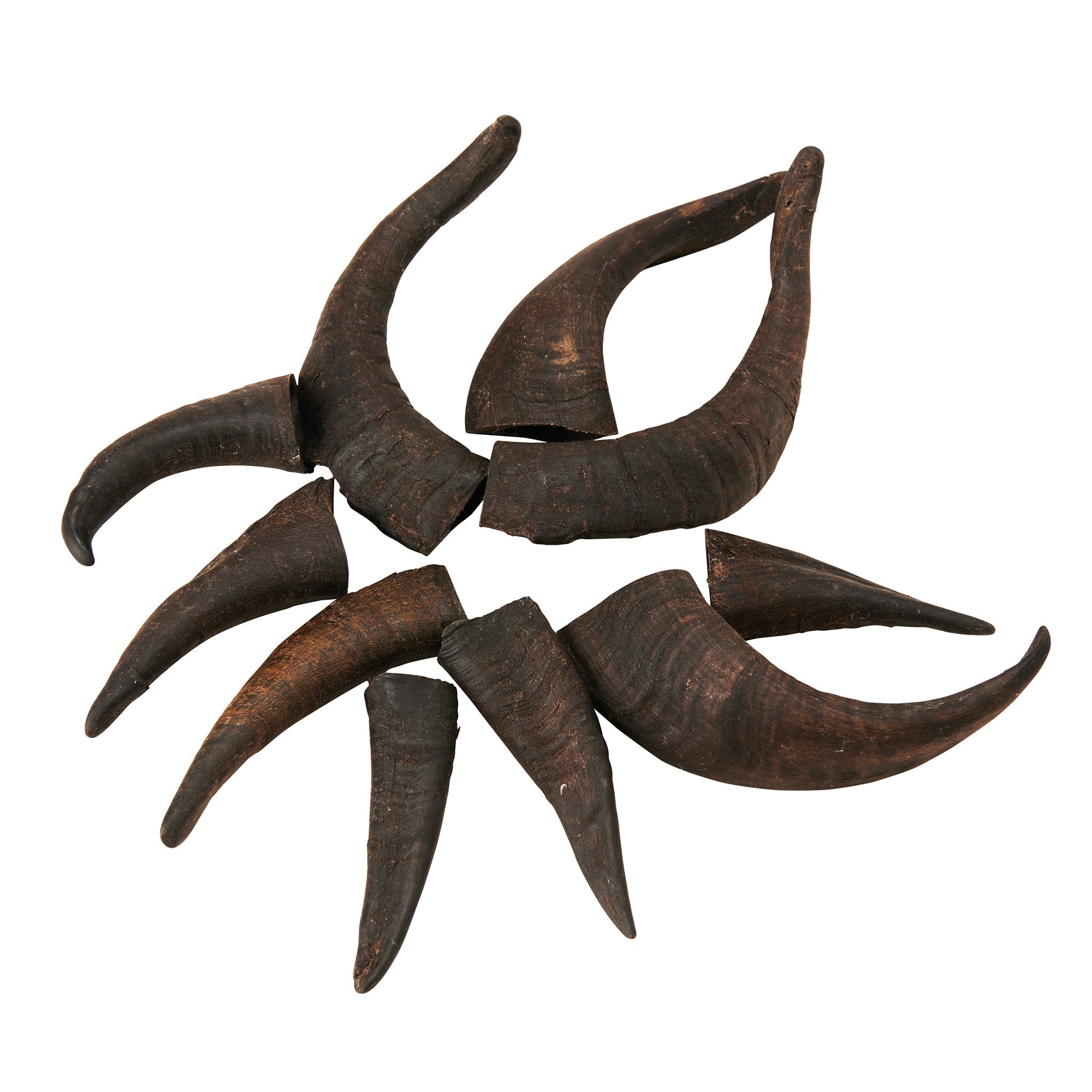 Mountain Goat Horn Dog Chews-10 Count-10 oz (WSP)-1