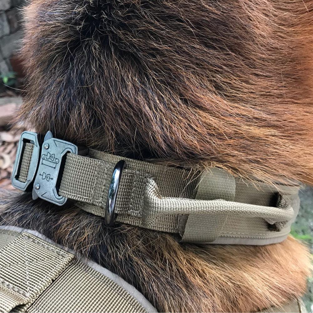 Tactical Nylon Dog Collar With Double Protection-4