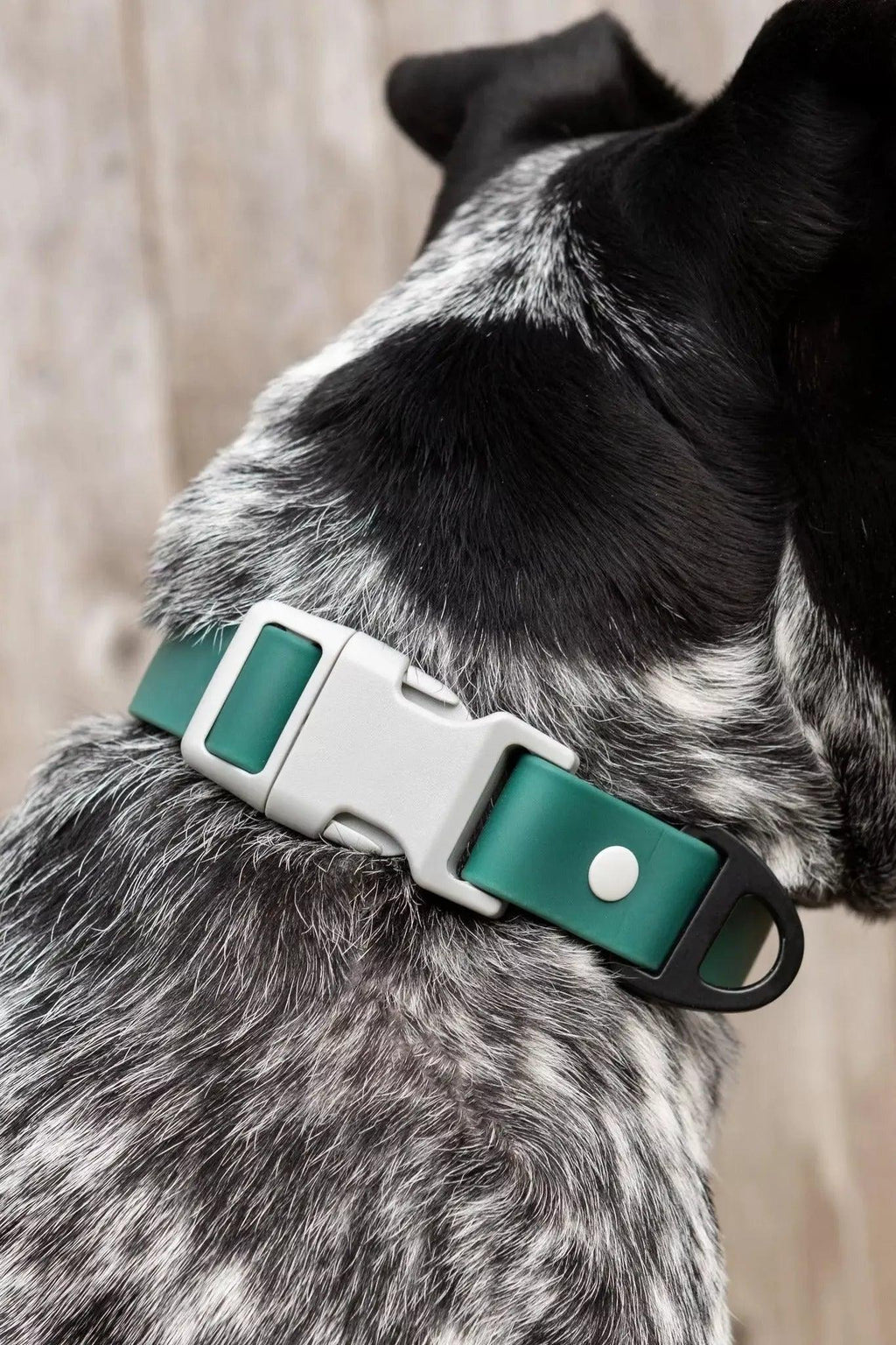 Siberian Spruce Waterproof Dog Collar-1