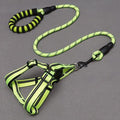 Adjustable Nylon Dog Leash With Chest Harness-4