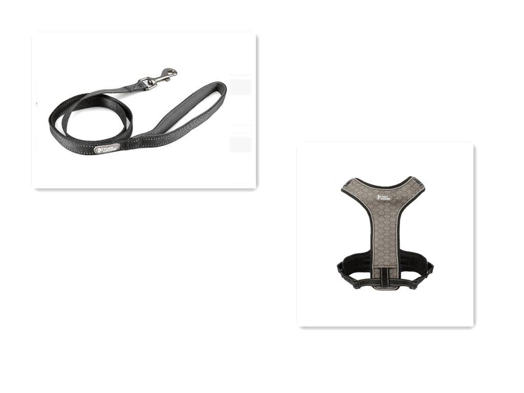 Adventure Paws Dog Harness And Leash Set-3