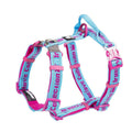 Convenient And Stylish Dog Breast Strap Leash Set-1